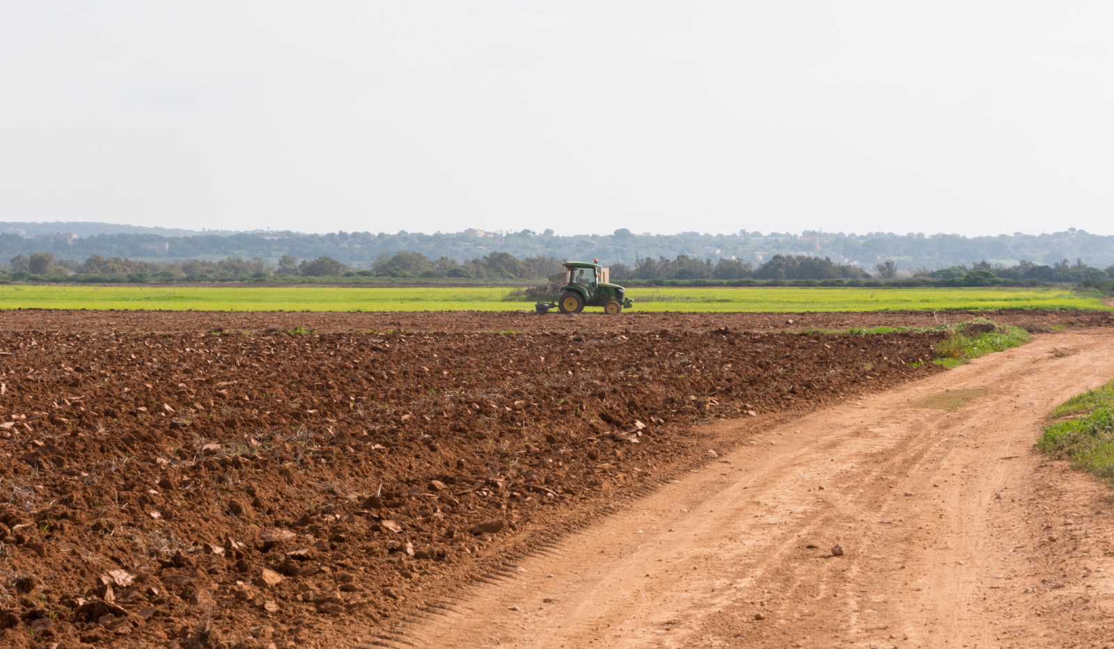 CAMPOS PAGÈS / Foto: Neus Pastor