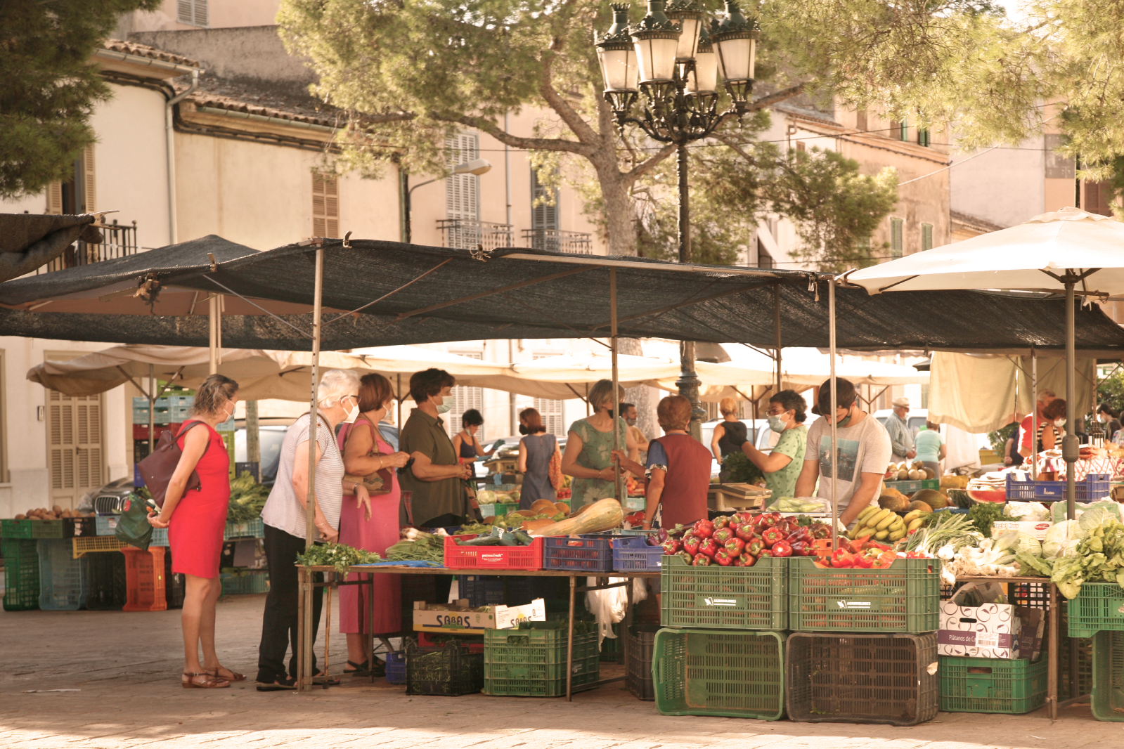 MERCAT DE CAMPOS